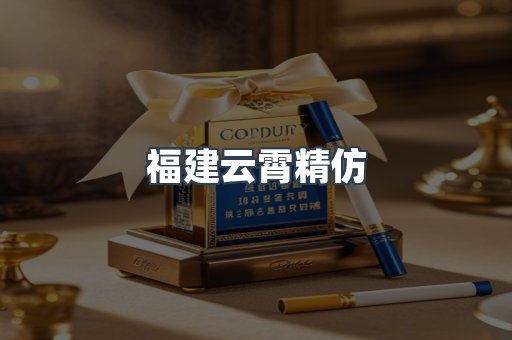 福建云霄精仿